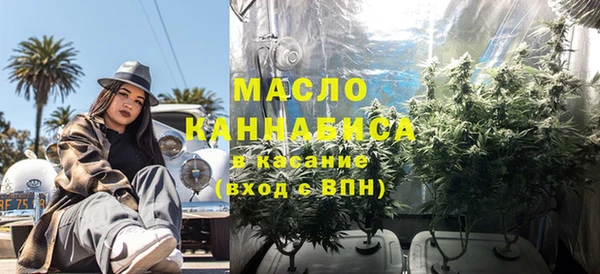 прущие грибы Алзамай