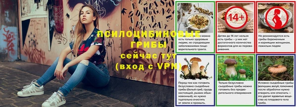 прущие грибы Алзамай
