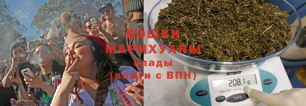 прущие грибы Алзамай