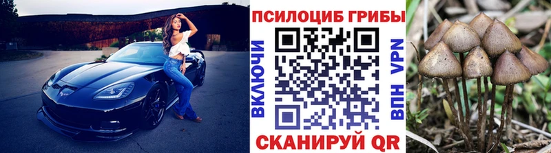 Галлюциногенные грибы Psilocybine cubensis  где продают   Киреевск 