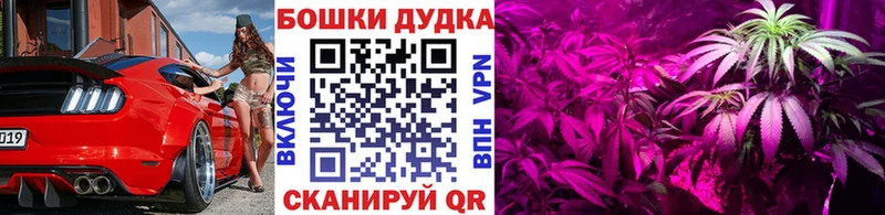 Марихуана SATIVA & INDICA  хочу наркоту  дарк нет состав  Киреевск  МЕГА онион 